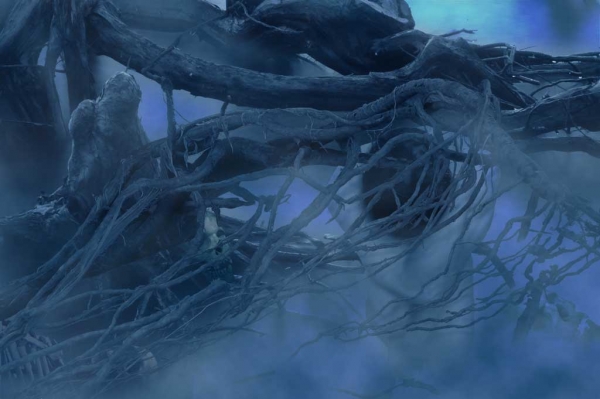 Creation of Swamp Hibernation: Step 5